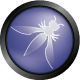 Image for OWASP category